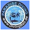 Langsung ke situs  Paradise Diving