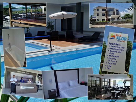 Alor Dolphins - Click to ENLARGE